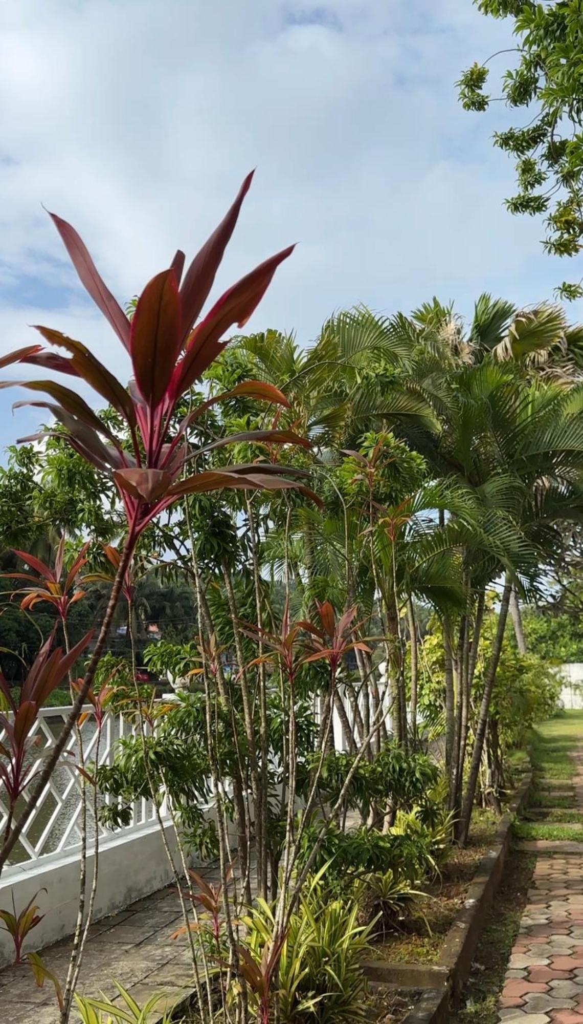 Hotel Riverside Baga Luaran gambar